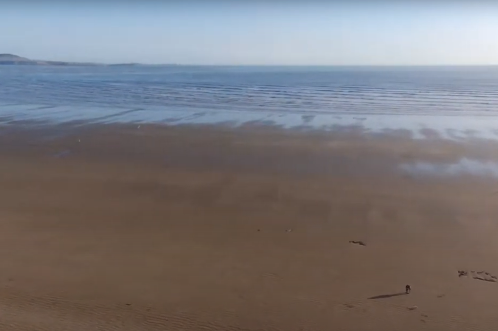 Turiste na priljubljeni plaži v jutranjih urah pričakal pretresljiv prizor: nekateri kričali, drugim šlo na bruhanje (foto: YouTube/posnetek zaslona)