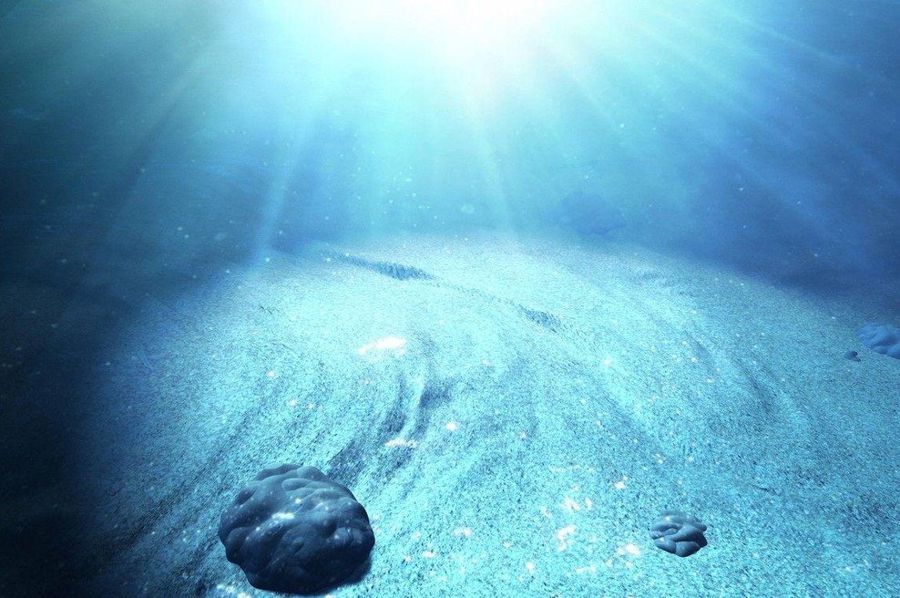 Dno morja (foto: Profimedia)