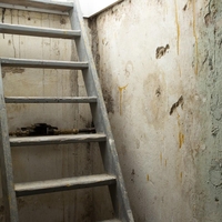 Štirje člani iste družine drug za drugim odšli v klet in vsi umrli: pokončal jih je tihi ubijalec