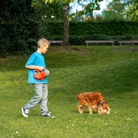 12-letnik s psom hodil čez polje, ko je obstal kot vkopan: celo arheologi niso mogli verjeti svojim očem