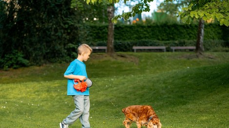 pes sprehod 12 letnik arheologija najdba zapestnica rimljani odkritje anglija