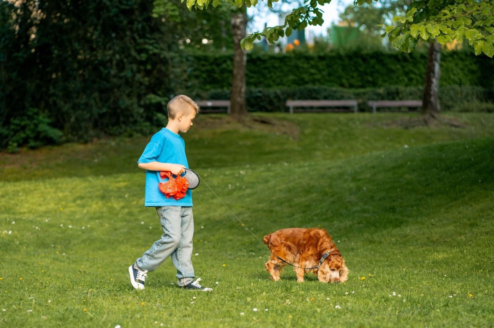 12-letnik s psom hodil čez polje, ko je obstal kot vkopan: celo arheologi niso mogli verjeti svojim očem (foto: Profimedia)