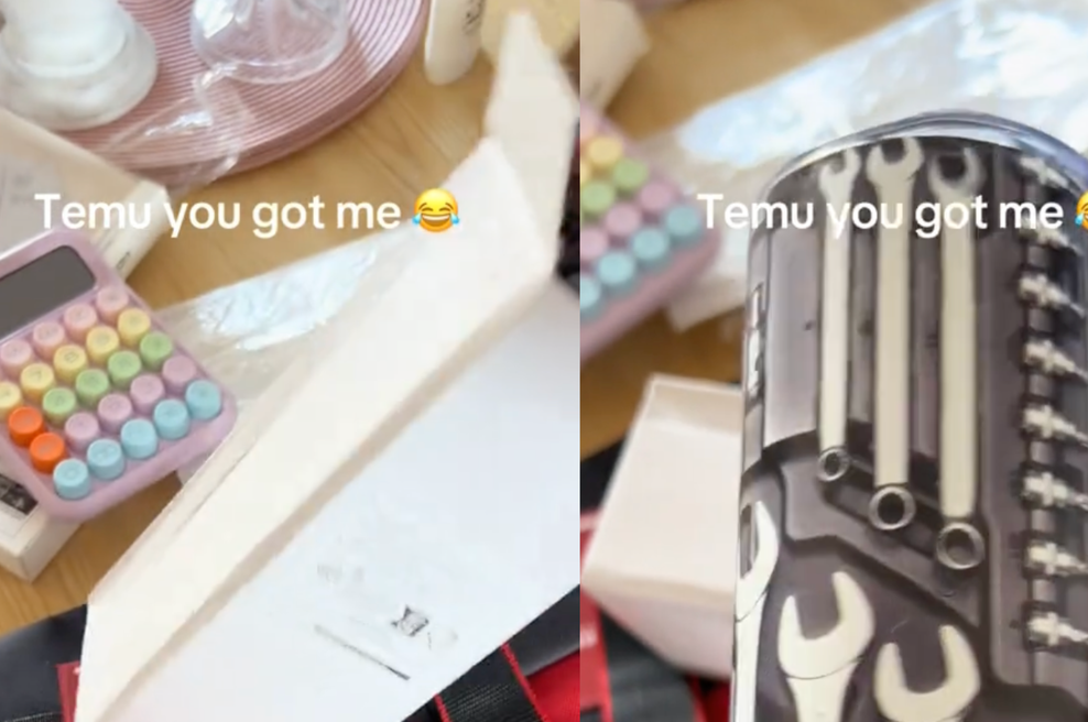 Naročila je orodje prek Temuja – ko je odprla paket, se je nasmejala do solz (foto: TikTok / Posnetek zaslona)