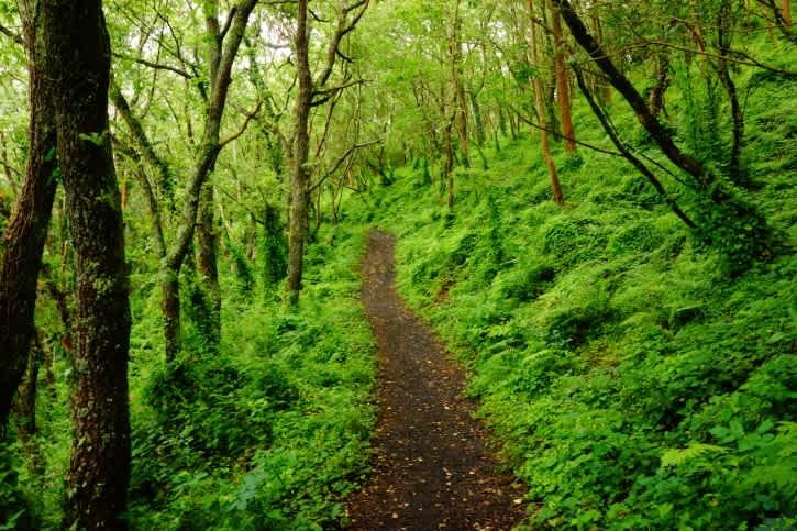 1 Če ste izbrali prvo pot, ste previdna oseba, ki išče samoto. Ste introvertirani in imate radi pustolovščine, vendar jih …