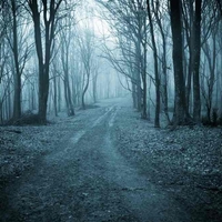 Kamera je ponoči v gozdu posnela zver, za katero so mislili, da je izumrla, saj je niso opazili kar 100 let