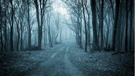 Kamera je ponoči v gozdu posnela zver, za katero so mislili, da je izumrla, saj je niso opazili kar 100 let