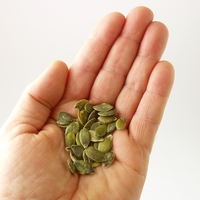 Zakaj so bučna semena prava superhrana? Krepijo srce, prostato in spanec, a niso brez tveganja