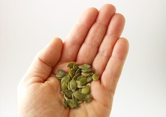 Zakaj so bučna semena prava superhrana? Krepijo srce, prostato in spanec, a niso brez tveganja