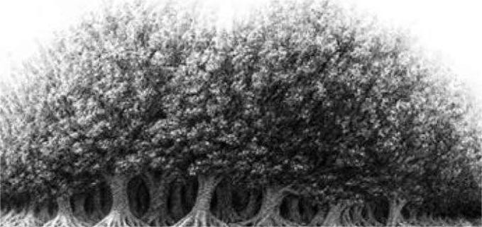 Drevesa Če ste najprej opazili drevesa, ste oseba z visokimi ambicijami in neomajno notranjo motivacijo. Nenehno segate po zvezdah, si …