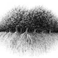 Kaj najprej opazite na sliki? Ta optična iluzija razkriva vaš idealni poklic