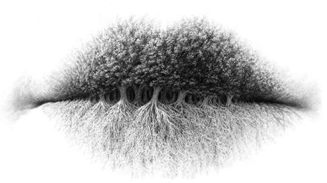 Kaj najprej opazite na sliki? Ta optična iluzija razkriva vaš idealni poklic