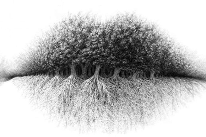 Kaj najprej opazite na sliki? Ta optična iluzija razkriva vaš idealni poklic