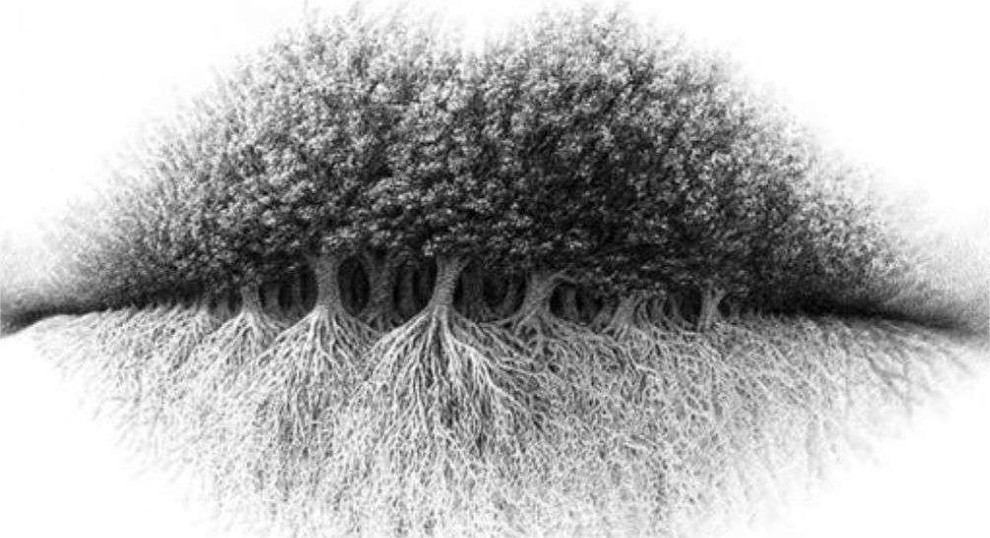 Ustnice Če ste najprej opazili ustnice, življenje sprejemate takšno, kot je, in se z izzivi soočate z mirnostjo. Vaš sproščeni …