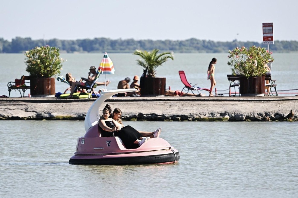 Turisti med kopanjem zagledali shrljiv prizor: skrivnostno morsko bitje se je pojavilo tik ob obali (gre za to žival) (foto: Profimedia)