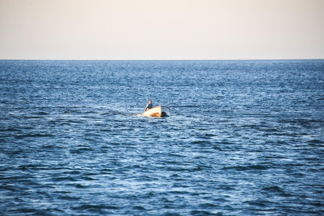 morje savudrija ribic morski mesec jadransko morje posnetek riba
