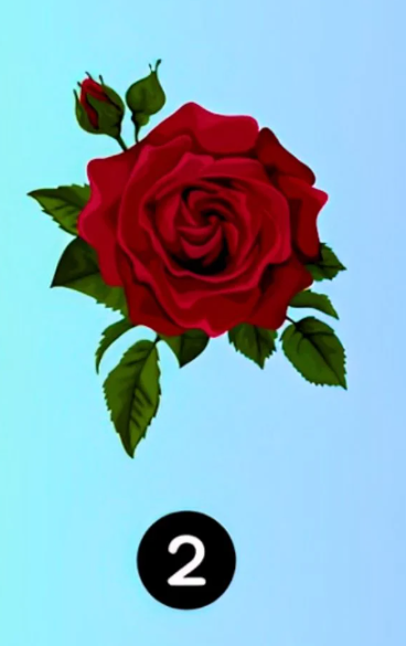 2. Vrtnica domišljije Če vam je srce hitreje zaigralo ob drugi vrtnici, to pomeni, da vas privlači partner, poln ustvarjalnosti …