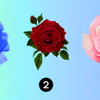 Izberite vrtnico in odkrijte, kakšen je vaš idealen partner: psihološki test, ki o vas razkriva več, kot si mislite