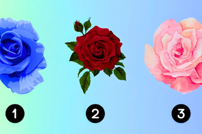 Izberite vrtnico in odkrijte, kakšen je vaš idealen partner: psihološki test, ki o vas razkriva več, kot si mislite