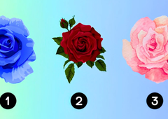 Izberite vrtnico in odkrijte, kakšen je vaš idealen partner: psihološki test, ki o vas razkriva več, kot si mislite