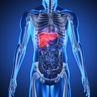 Ta krvna skupina nosi večje tveganje za hudo bolezen jeter: če jo imate, je potrebna posebna pozornost