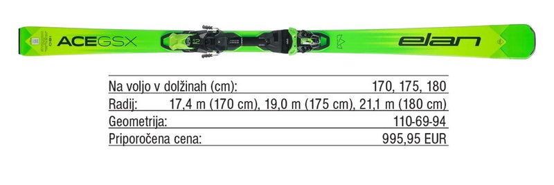 Pregled trga: Tekmovalne slalomske in veleslalomske smuči