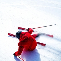 Pregled trga: Tekmovalne slalomske in veleslalomske smuči