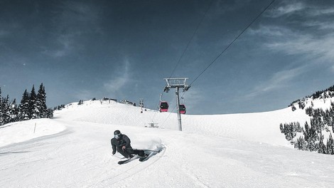 Pregled trga: Moške visokozmogljive tekmovalne smuči za vsakdanjo rabo
