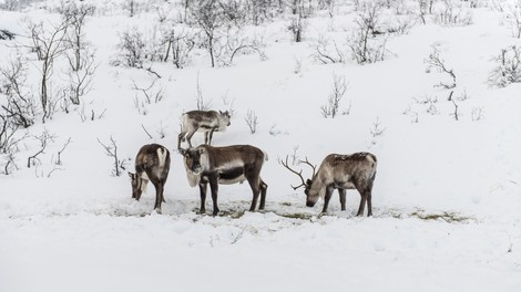 Turiste opozarjajo na zimski trend, ki vas lahko drago stane: če se odpravljate na pot, bodite pazljivi