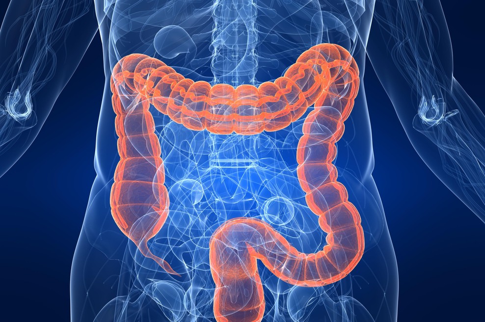 Nova raziskava: strokovnjaki odkrili prehrano, ki zmanjša simptome Crohnove bolezni pri 70 odstotkih bolnikov (foto: Profimedia)