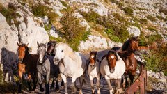 
                                                         Zavežite pohodne čevlje in spakirajte kopalke - to je popolna destinacija, kjer lahko hkrati uživate v gorah in morju