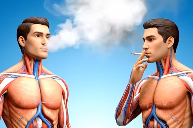 Kaj je za vaše telo slabše: cigarete ali vape? Simulacija razkriva razlike (VIDEO)