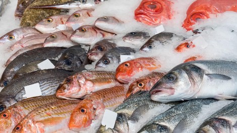 Ni losos: strokovnjaki so to ribo razglasili za eno najbolj zdravih živil na svetu