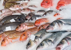 Ni losos: strokovnjaki so to ribo razglasili za eno najbolj zdravih živil na svetu