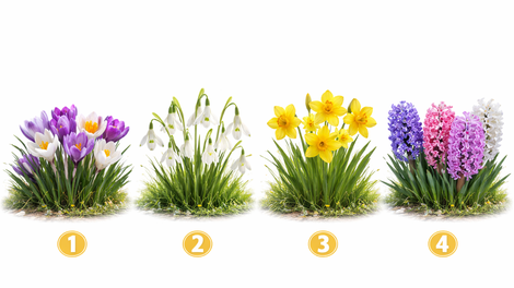 Katero spomladansko cvetlico bi izbrali? Ta preprost psihološki test pokaže vašo pravo osebnost