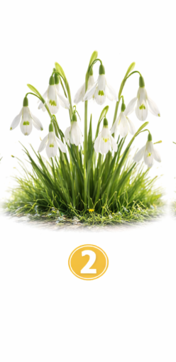 2 Zvončki Če ste izbrali zvončke, ste oseba, ki izžareva mir, toplino in iskrenost. Na vas se ljudje radi zanesejo, …