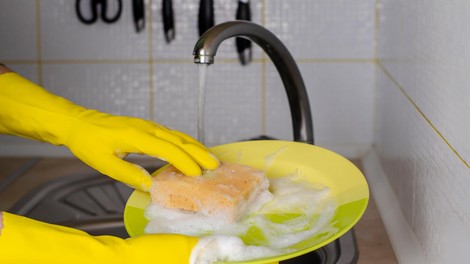Pomivate posodo z gobico? Takšno početje je lahko nevarno, svarijo strokovnjaki