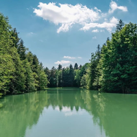 Ideja za izlet: 30 minut iz Ljubljane vas čaka raj za ljubitelje narave