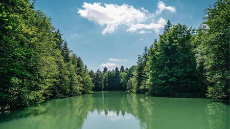 Ideja za izlet: 30 minut iz Ljubljane vas čaka raj za ljubitelje narave