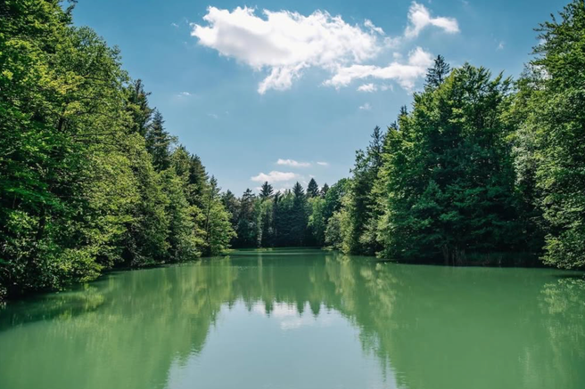 Ideja za izlet: 30 minut iz Ljubljane vas čaka raj za ljubitelje narave