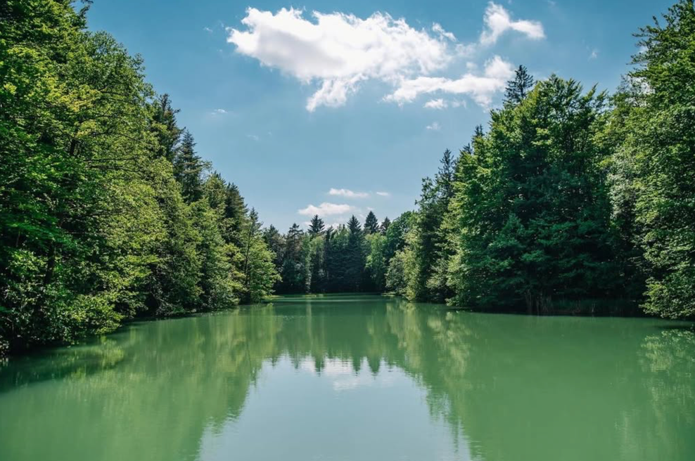 Ideja za izlet: 30 minut iz Ljubljane vas čaka raj za ljubitelje narave (foto: Instagram @brdoestate (Posnetek zaslona))