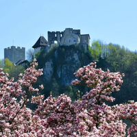 4 razlogi, zakaj se na svoj naslednji izlet odpraviti v Celje