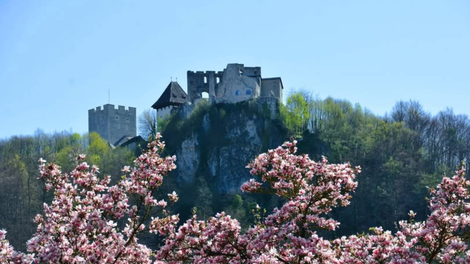 4 razlogi, zakaj se na svoj naslednji izlet odpraviti v Celje