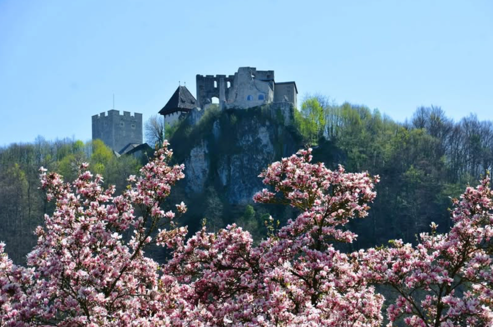 4 razlogi, zakaj se na svoj naslednji izlet odpraviti v Celje (foto: Instagram Visit Celje)