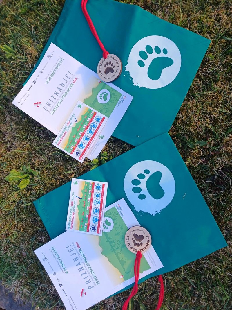 Pohodnikom po kočevskih gozdovih pot presekala medvedka! (FOTO)