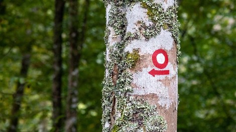 Katera bo naj planinska pot 2026?