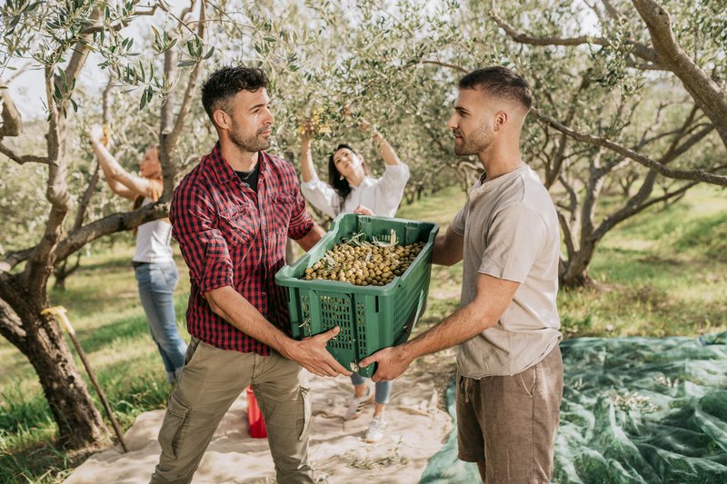 Družinski oddih z osebno noto: zakaj vse več družin izbira namestitve z oznako Local Host?