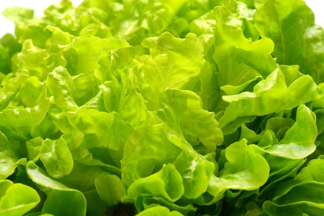 Nutricionistka razkriva, kako bi v resnici morali oprati zeleno solato: ena napaka lahko povzroči prebavne težave