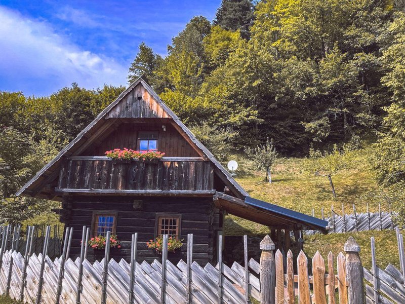 48 ur na Koroškem: Dva dni med domačo hrano, naravo in razgledi na Ekološki turistični kmetiji Mikl