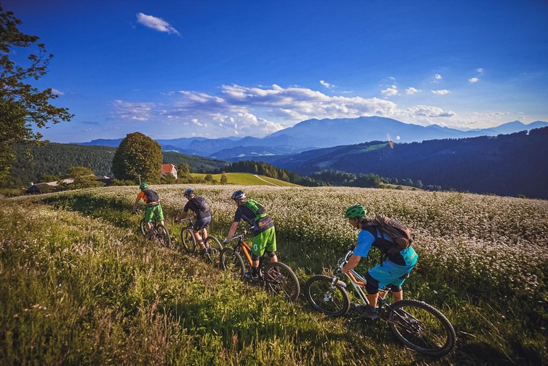 48 ur na Koroškem: Dva dni med domačo hrano, naravo in razgledi na Ekološki turistični kmetiji Mikl