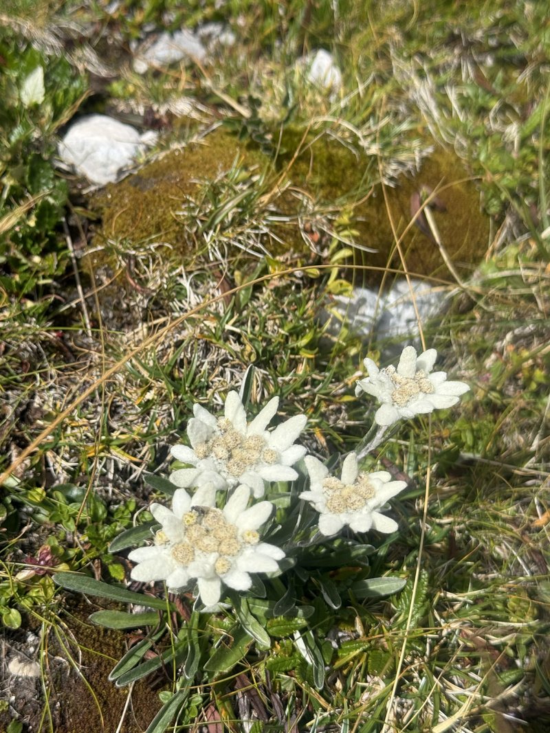 Prvič sem šla na Triglav – ali tudi zadnjič?
